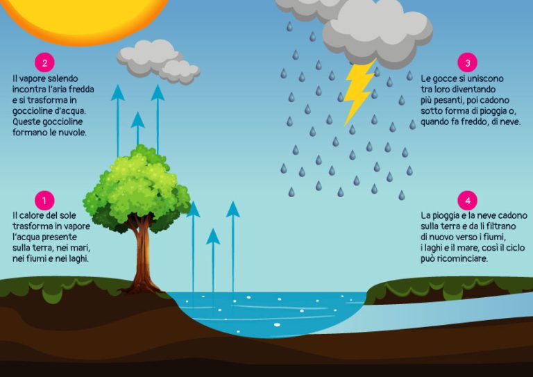 Il ciclo dell'acqua